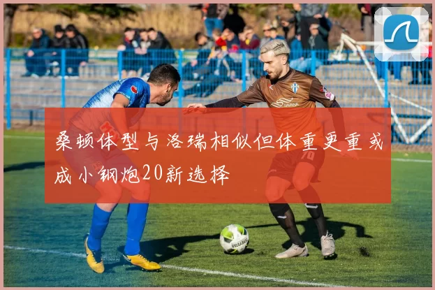 桑顿体型与洛瑞相似但体重更重或成小钢炮20新选择